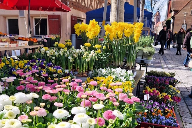 Impressionen vom Frühlingsmarkt in Zirndorf